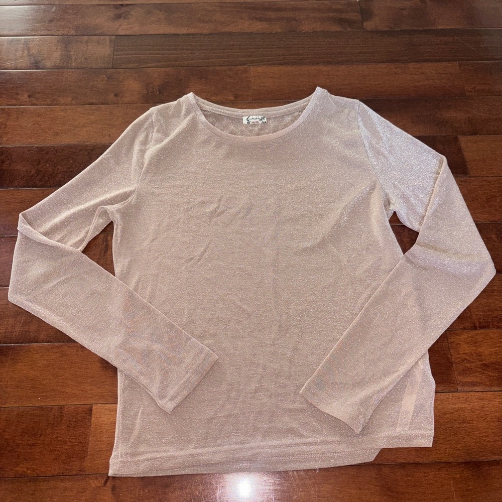 Sheer Long Sleeve Top